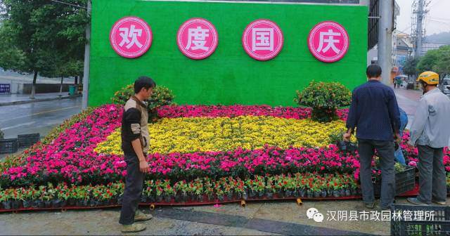 节刚过完!汉阴街头盆景被顺走,行为可耻……!