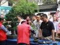 常州市职工盆景协会盆景精品展成功举办