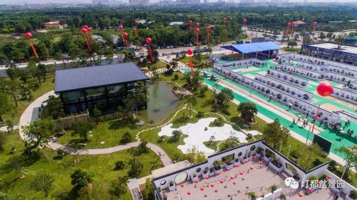 2017年广东盆景协会成立30周年会员作品展完美谢幕