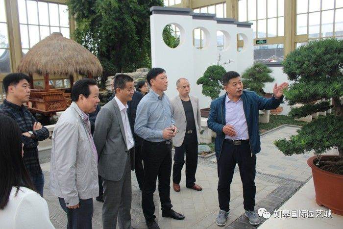 浙江省桐乡市人大领导来如考察花木盆景产业