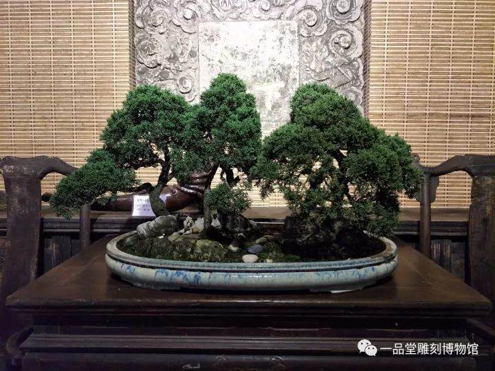 祝贺一品堂博物馆首届『盆景艺术展』圆满闭幕