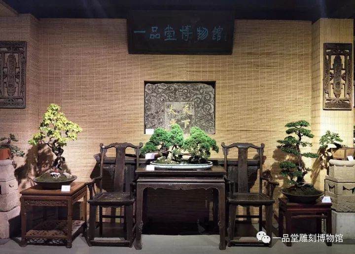 祝贺一品堂博物馆首届『盆景艺术展』圆满闭幕