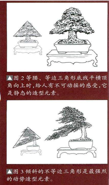 盆景造型元素中的动势与静态