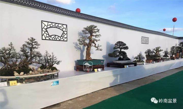 岭南盆景的传承与创新