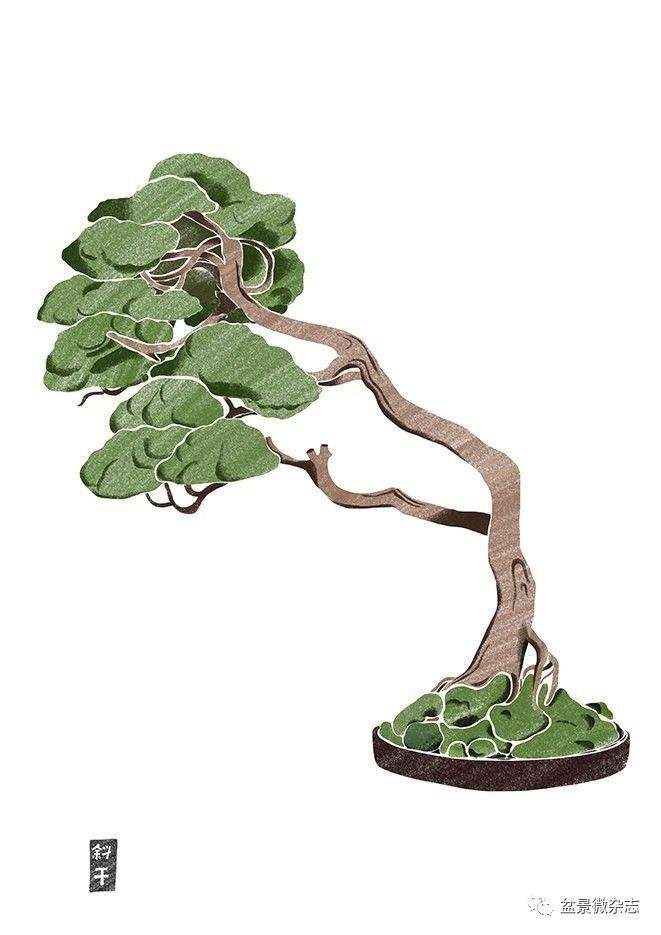 本期的互动话题是［为什么喜欢盆景］