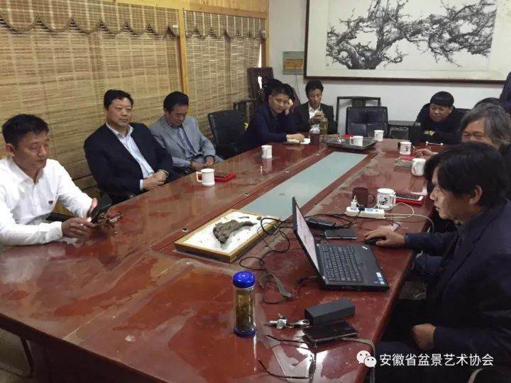 合肥市吴家花园盆景名家作品邀请展