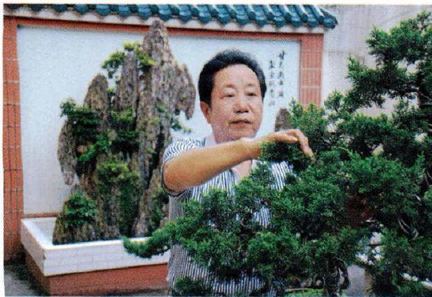 武汉盆景艺术家--戴能健