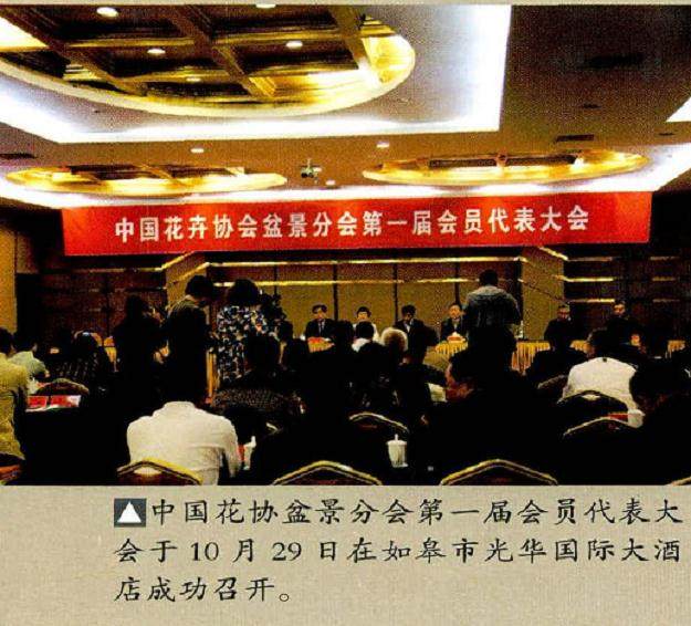 如皋市盆景大赛在中国花木盆景之乡成功举办