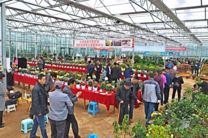 陇西盆景展暨陇西花鸟鱼市场开业典礼隆重开幕