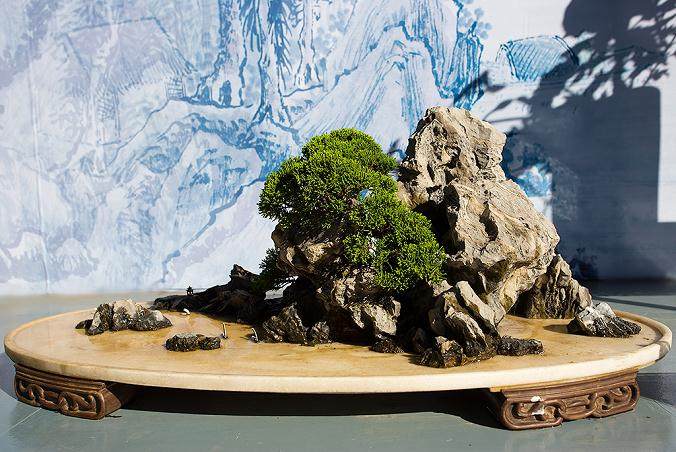 颐和园的盆景艺术展也将共同向乘客开放