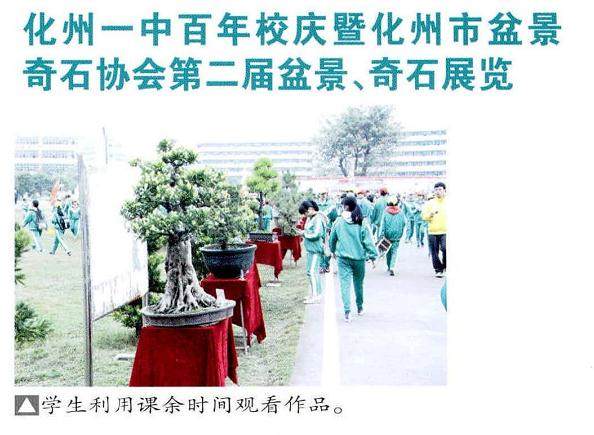化州盆景奇石协会第二届盆景展