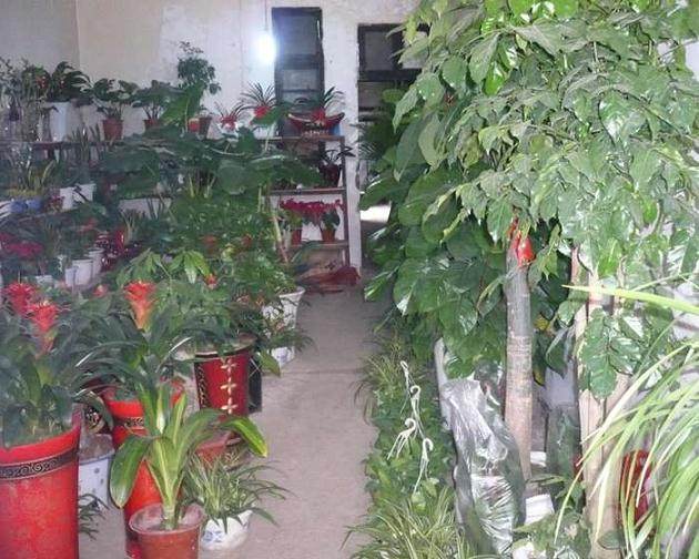 常州兴建盆景博物馆