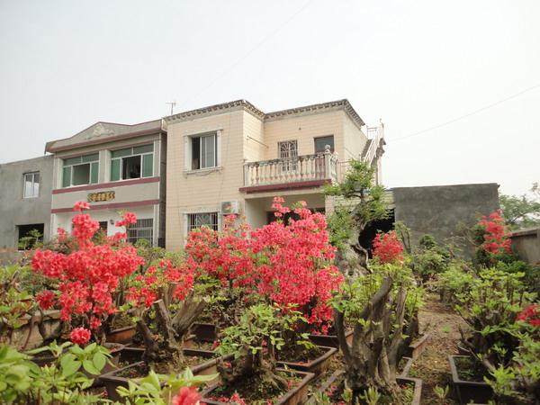 盆景农庄独特品味