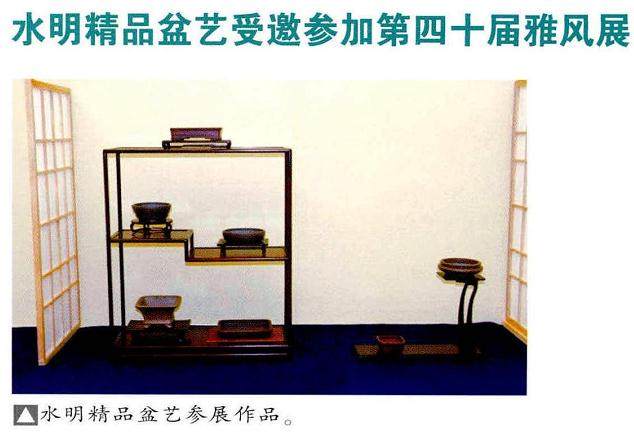 水明精品盆艺受邀参加第四十届雅风盆景展 