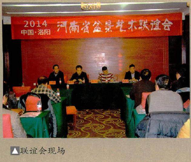 河南省各地市的盆景爱好者百余人齐聚古都洛阳