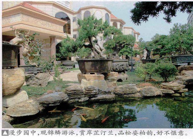 盆景艺术家吴多铭在瑞金市打造了私家盆景园