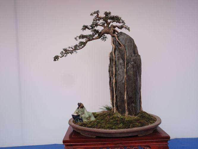 第四届中国盆景研讨会