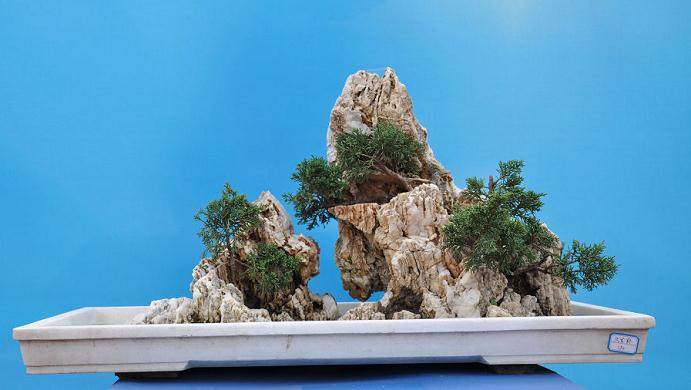 山水盆景能给观赏石小品的山形组合很大的启示和示范