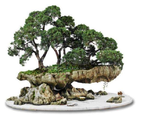 苏派盆景荟萃虎丘景区