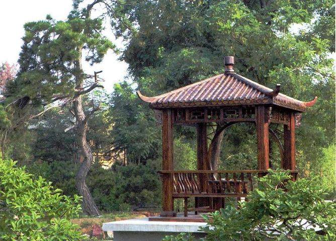 河南中州盆景展览展示服务有限公司盆景文化基地