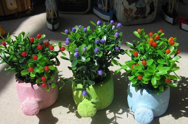 假盆景骗子栽到受骗人手中