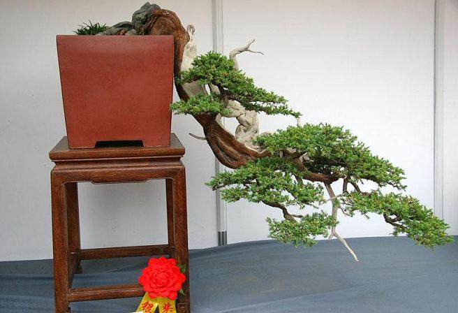 第四届盆景理事会的通知