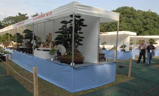 在一关千厩医院的盆景展示会