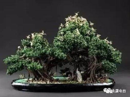 永康唐先一农民种近千盆盆景成获奖专业户!