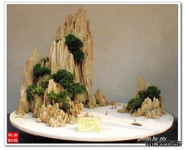 苏州盆景观摩研讨会