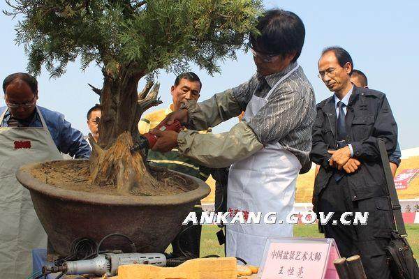 中国盆景艺术大师坝场制作演示活动