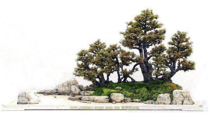 盆景《海天佛国》读感