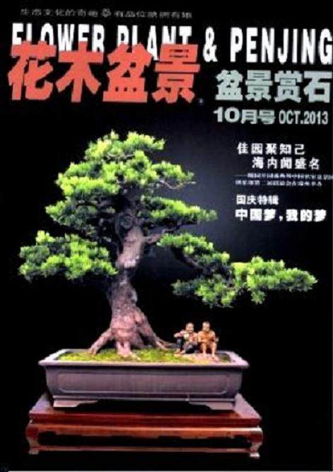 盆景源于自然的辨析