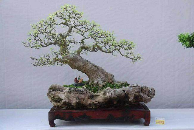 长江奇石专题理论研讨会在四川宜宾召开