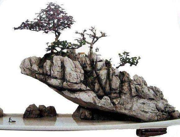 2006年国际盆景展签约仪式