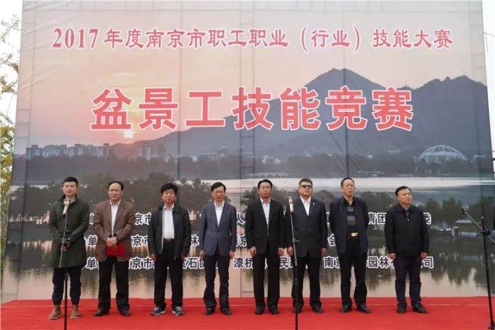 盆景技能竞赛，南京园林工匠们也是蛮拼的！