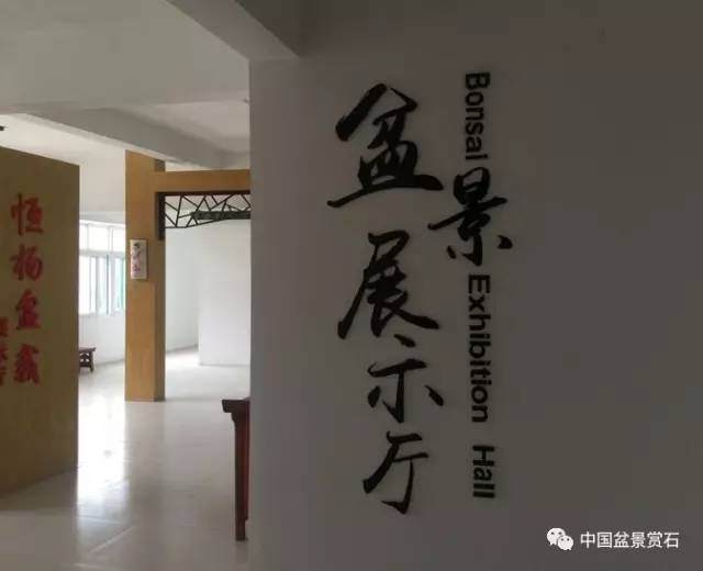 江苏省会员活动中心第二届盆景联展即将拉开帷幕