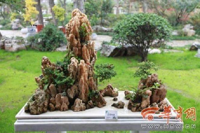 宝鸡举办第十三届奇盆景展