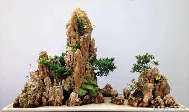 谈传统 是在谈中国盆景艺术的传统