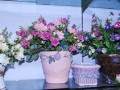 鲜花盆景走俏教师节