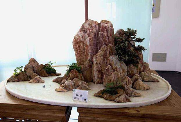 盆景名家--庞盛栋