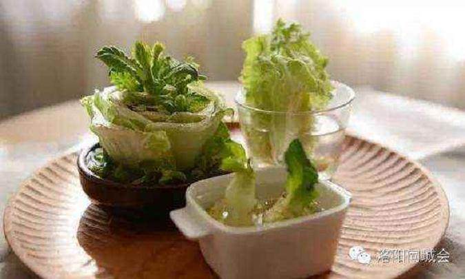 小析盆景《临崖不惧》