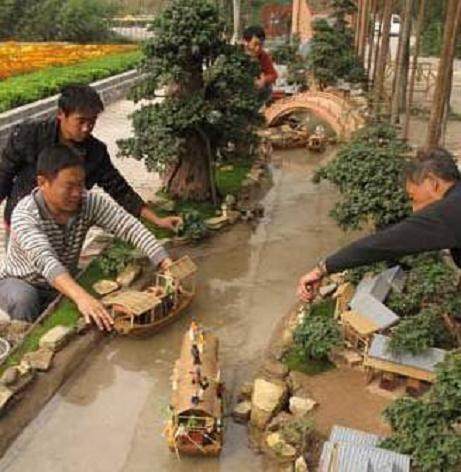 大型菊艺盆景《清明上河图》