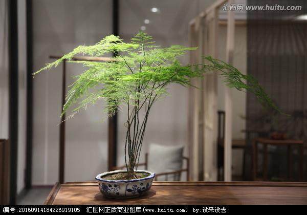 江宁博物馆：秦桧坐像已换成盆景