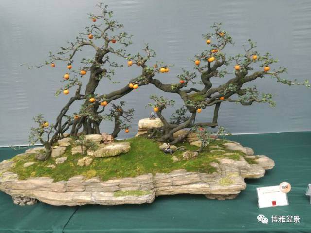 2017第七届中国盆景学术研讨会暨精品盆景成都邀请展