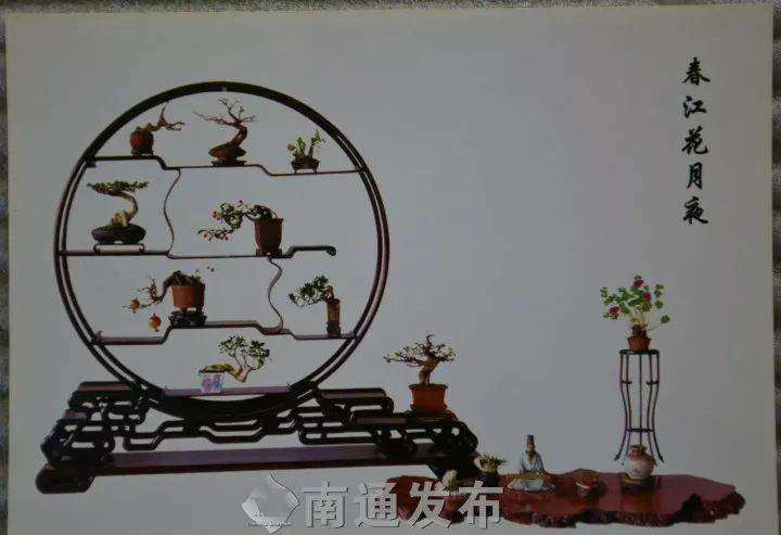 如皋人王如生获“BCI国际盆景大师”称号！