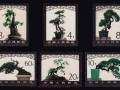 我国首次出现的个人盆景艺术作品邮票