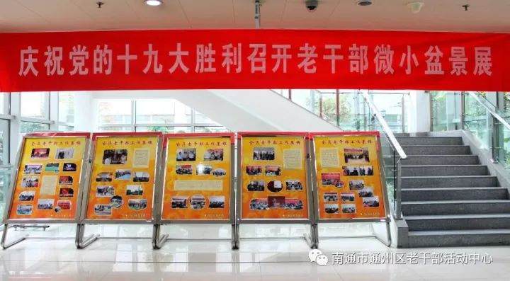 南通市老干部活动中心召开微小盆景展开展