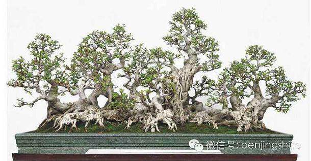 我国历史上较早的一件独石盆景