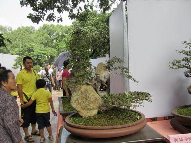 灯杆上挂盆景的链子断了 盆景掉落在地