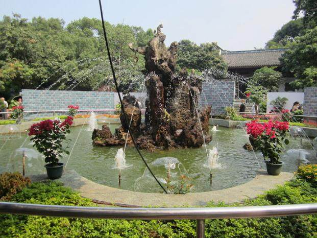 正常现象盆景树成活原本就低